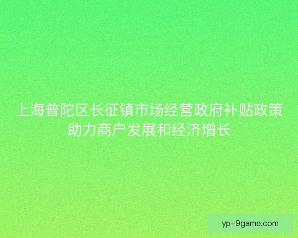 上海普陀区长征镇市场经营政府补贴政策助力商户发展和经济增长
